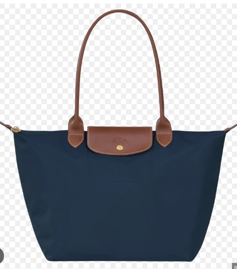 LONGCHAMP L1899089 P68 WOMEN'S BAG